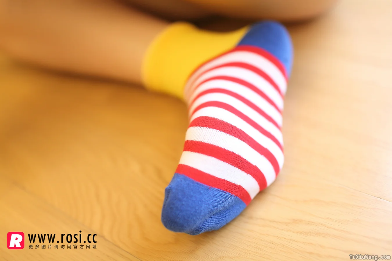 [ROSI写真] 2014.11.14 No.1072