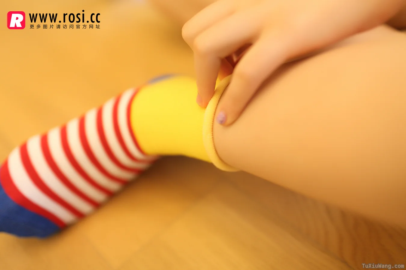 [ROSI写真] 2014.11.14 No.1072