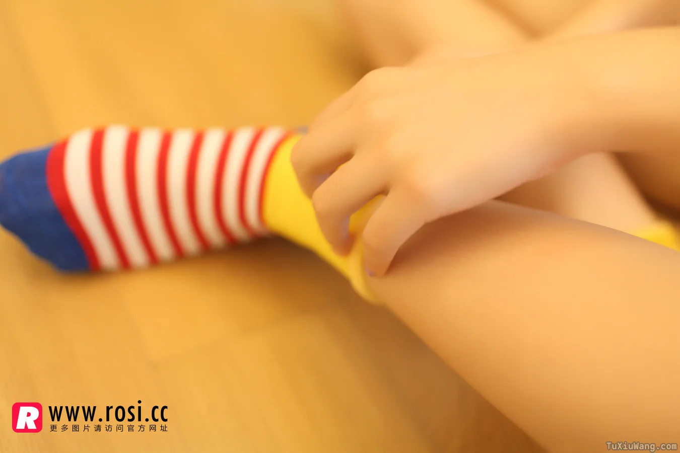 [ROSI写真] 2014.11.14 No.1072