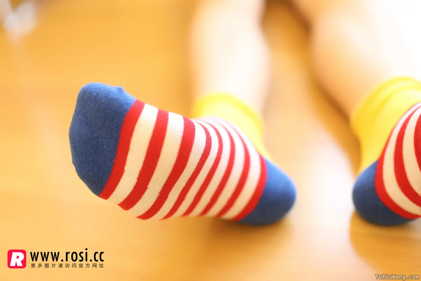 [ROSI写真] 2014.11.14 No.1072