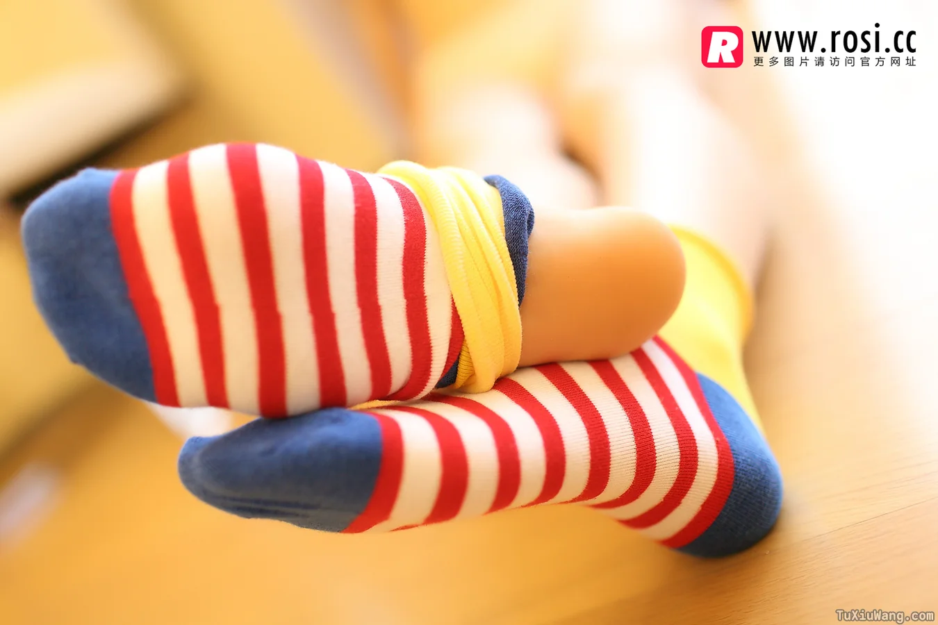 [ROSI写真] 2014.11.14 No.1072