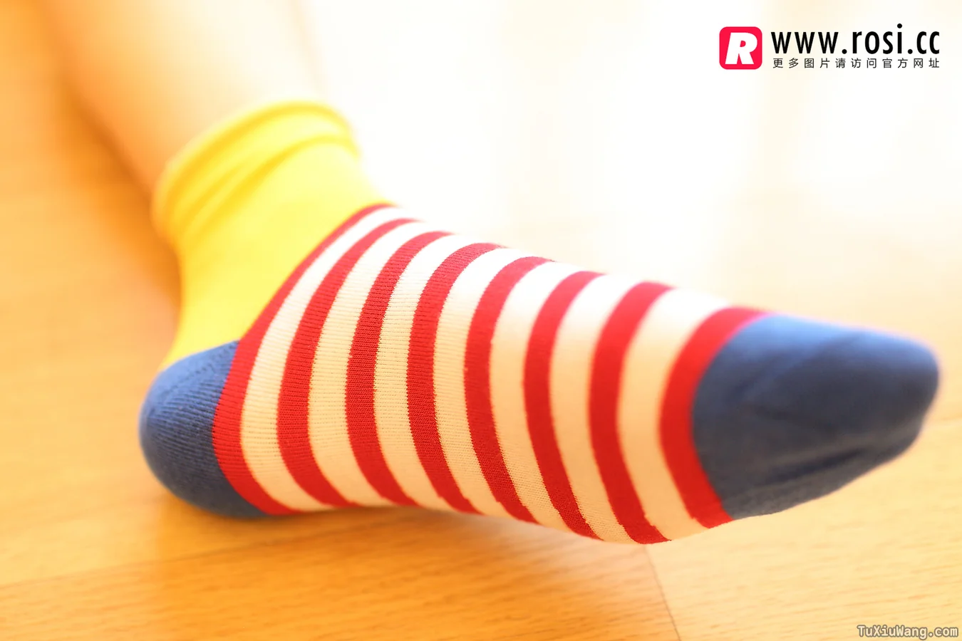 [ROSI写真] 2014.11.14 No.1072