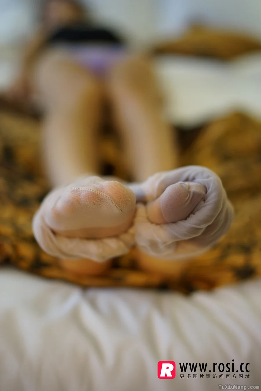 [ROSI写真] 2015.08.24 No.1355