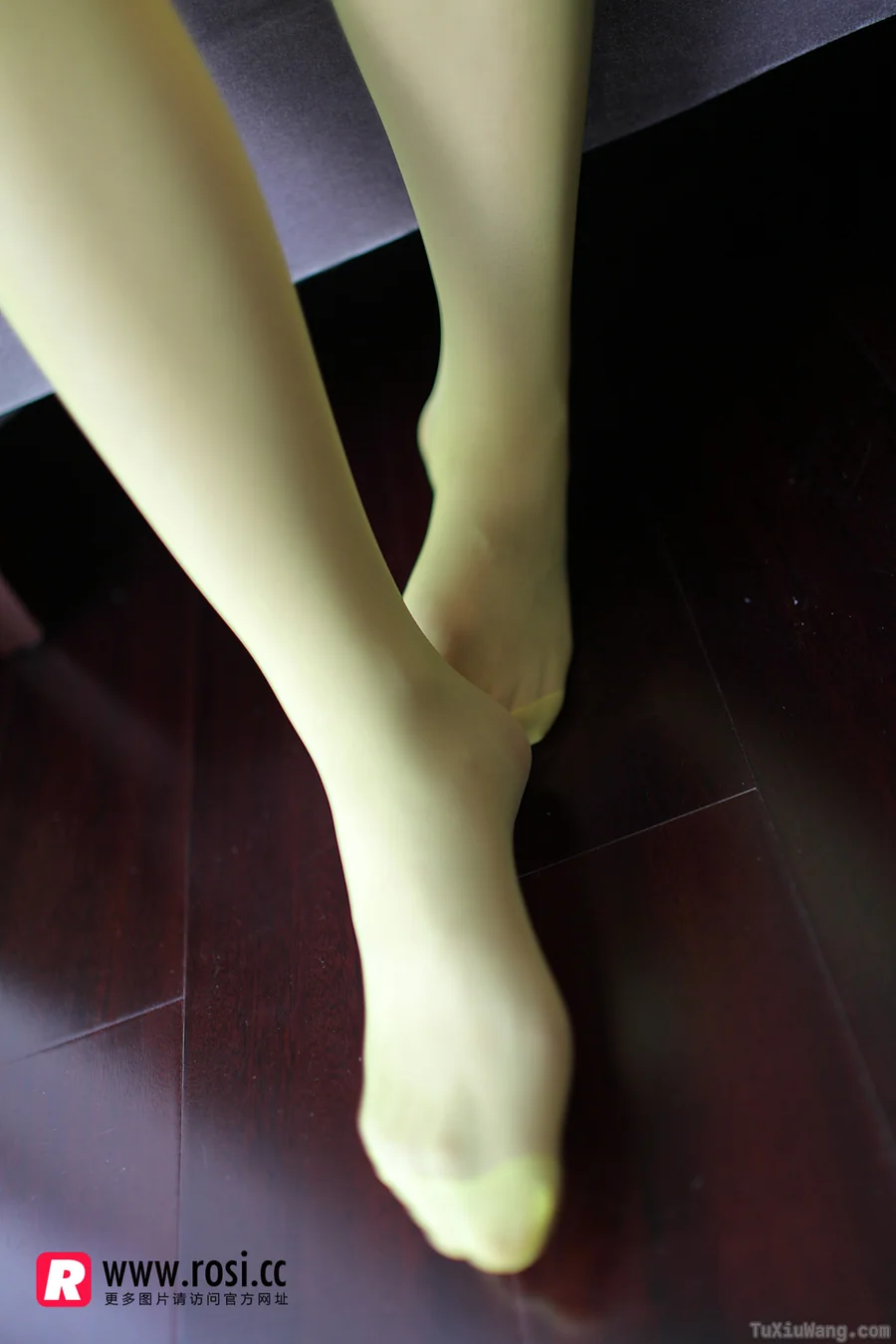 [ROSI写真] 2015.12.14 No.1467