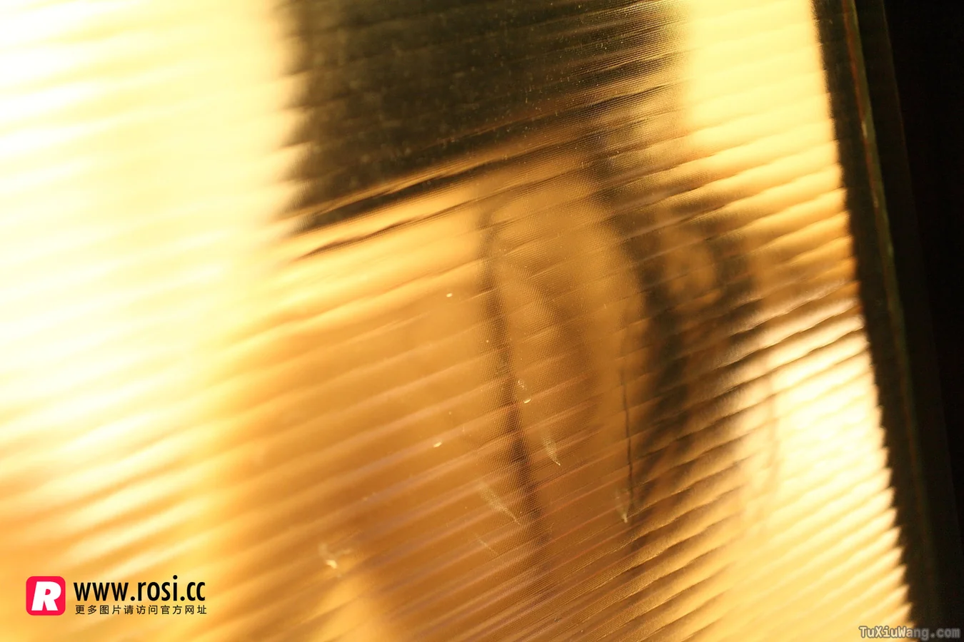 [ROSI写真] 2015.12.15 No.1468