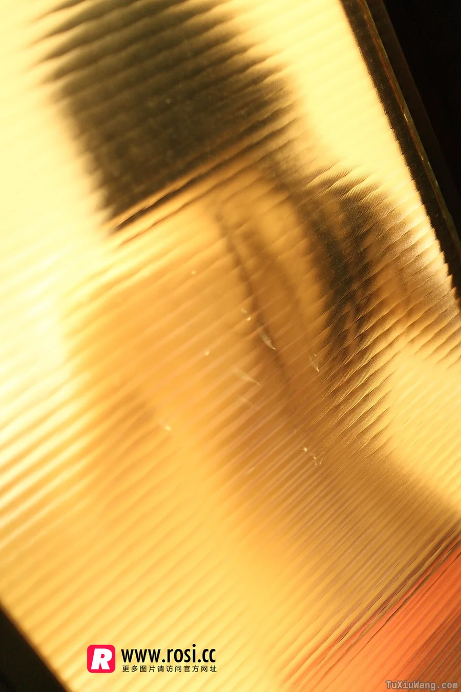 [ROSI写真] 2015.12.15 No.1468