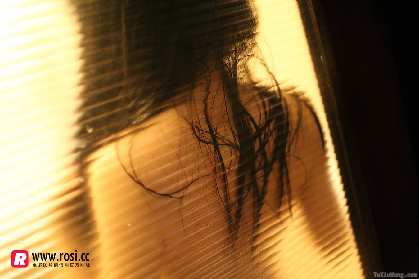 [ROSI写真] 2015.12.15 No.1468
