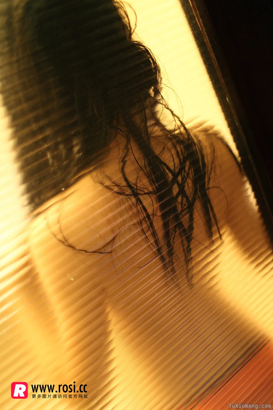 [ROSI写真] 2015.12.15 No.1468