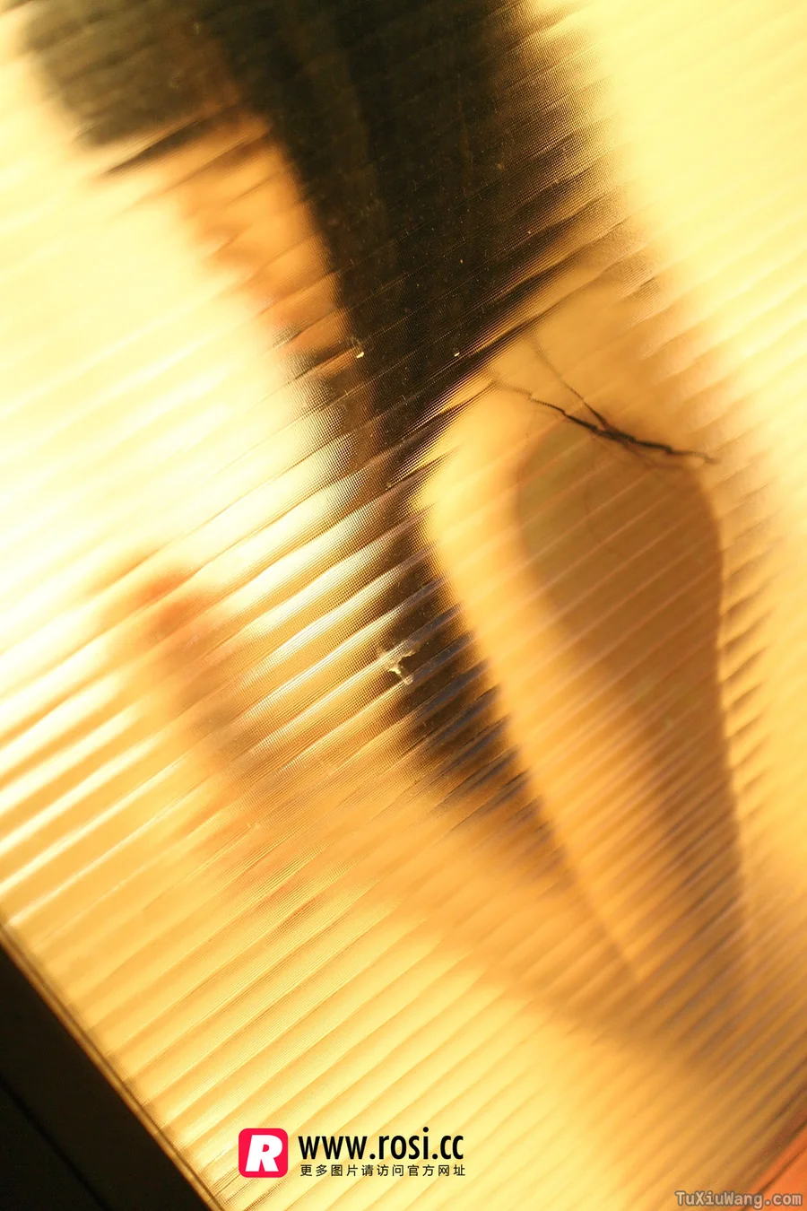[ROSI写真] 2015.12.15 No.1468