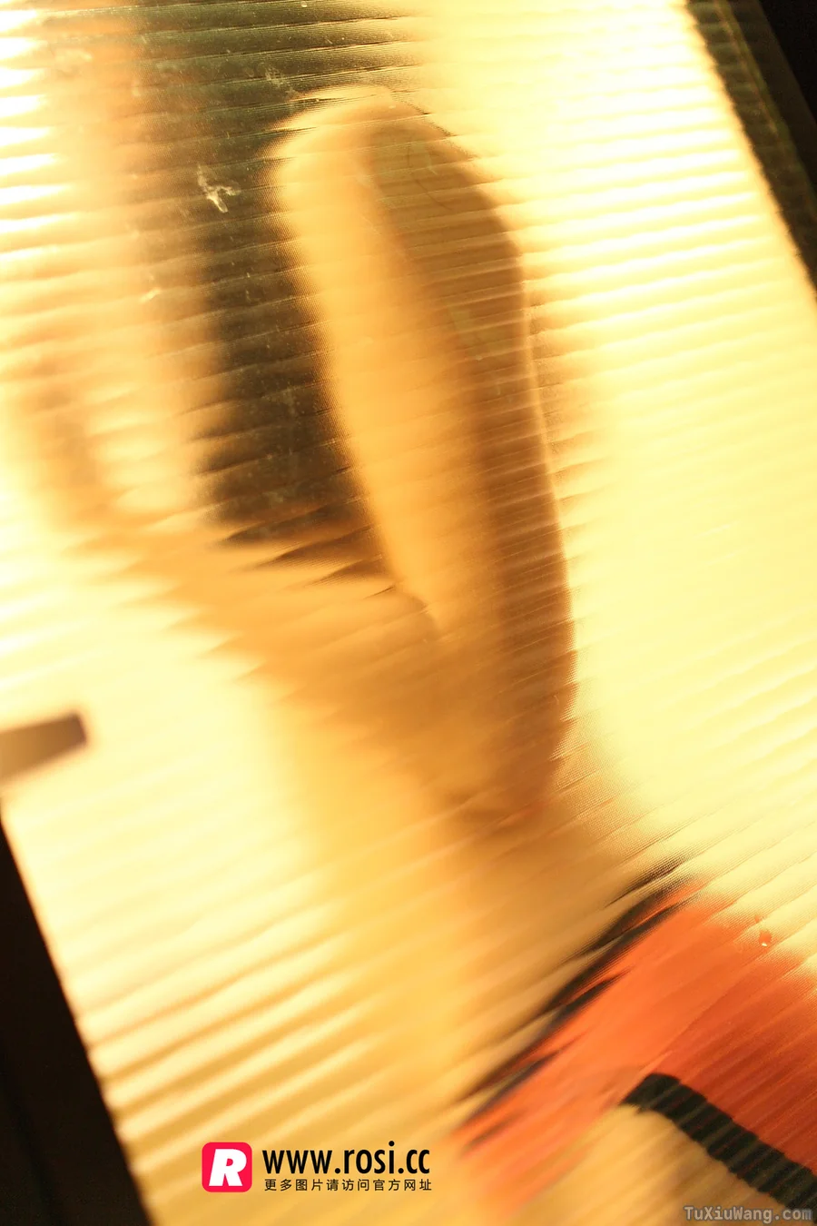 [ROSI写真] 2015.12.15 No.1468