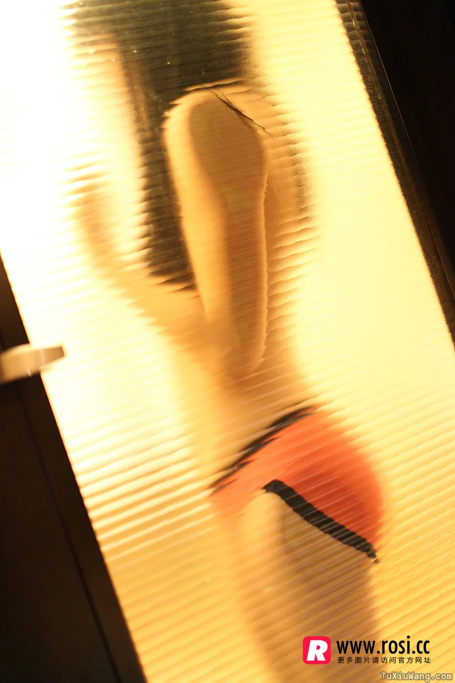 [ROSI写真] 2015.12.15 No.1468