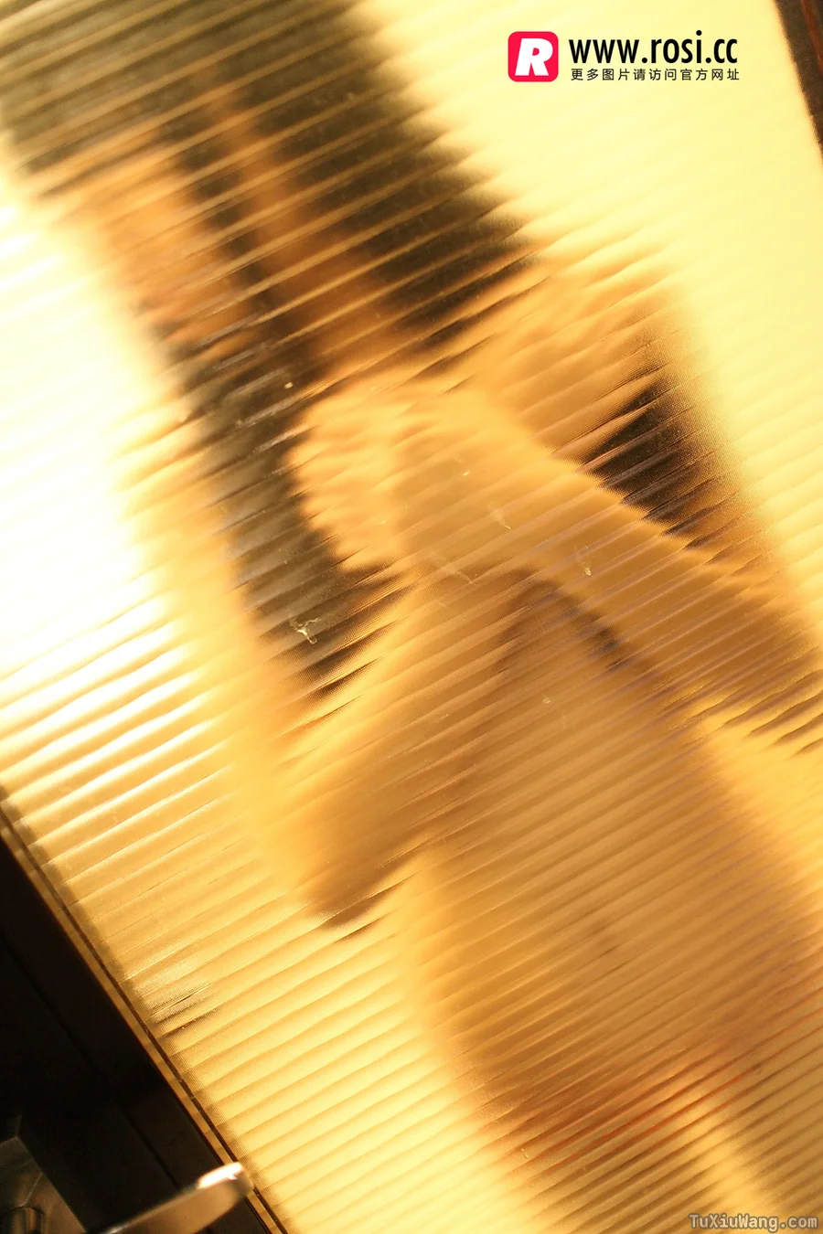 [ROSI写真] 2015.12.15 No.1468