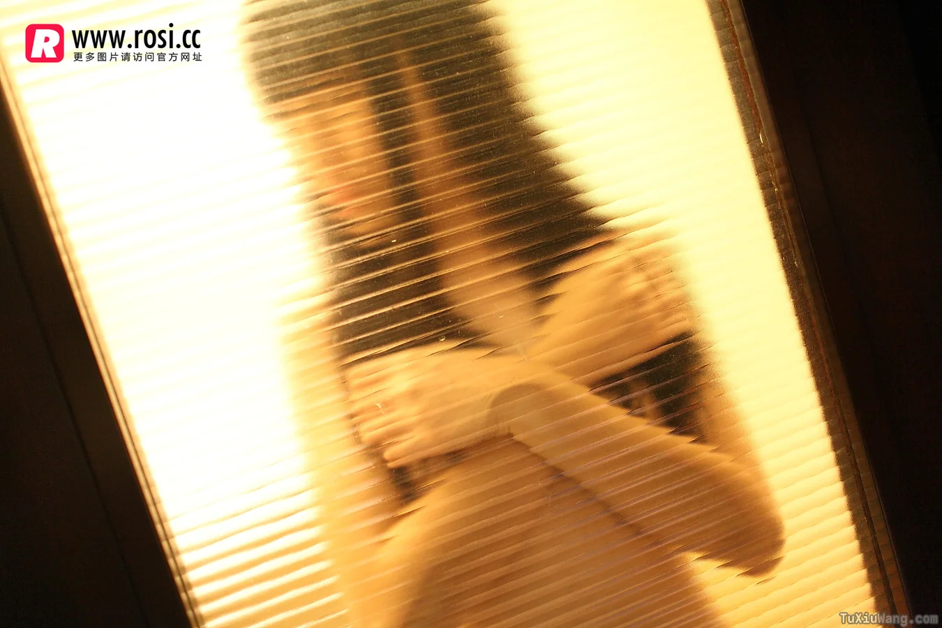 [ROSI写真] 2015.12.15 No.1468