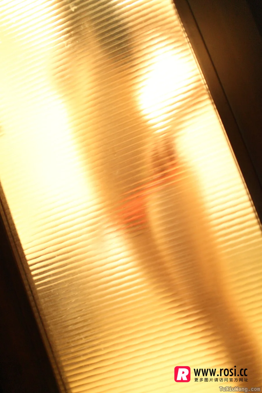 [ROSI写真] 2015.12.15 No.1468