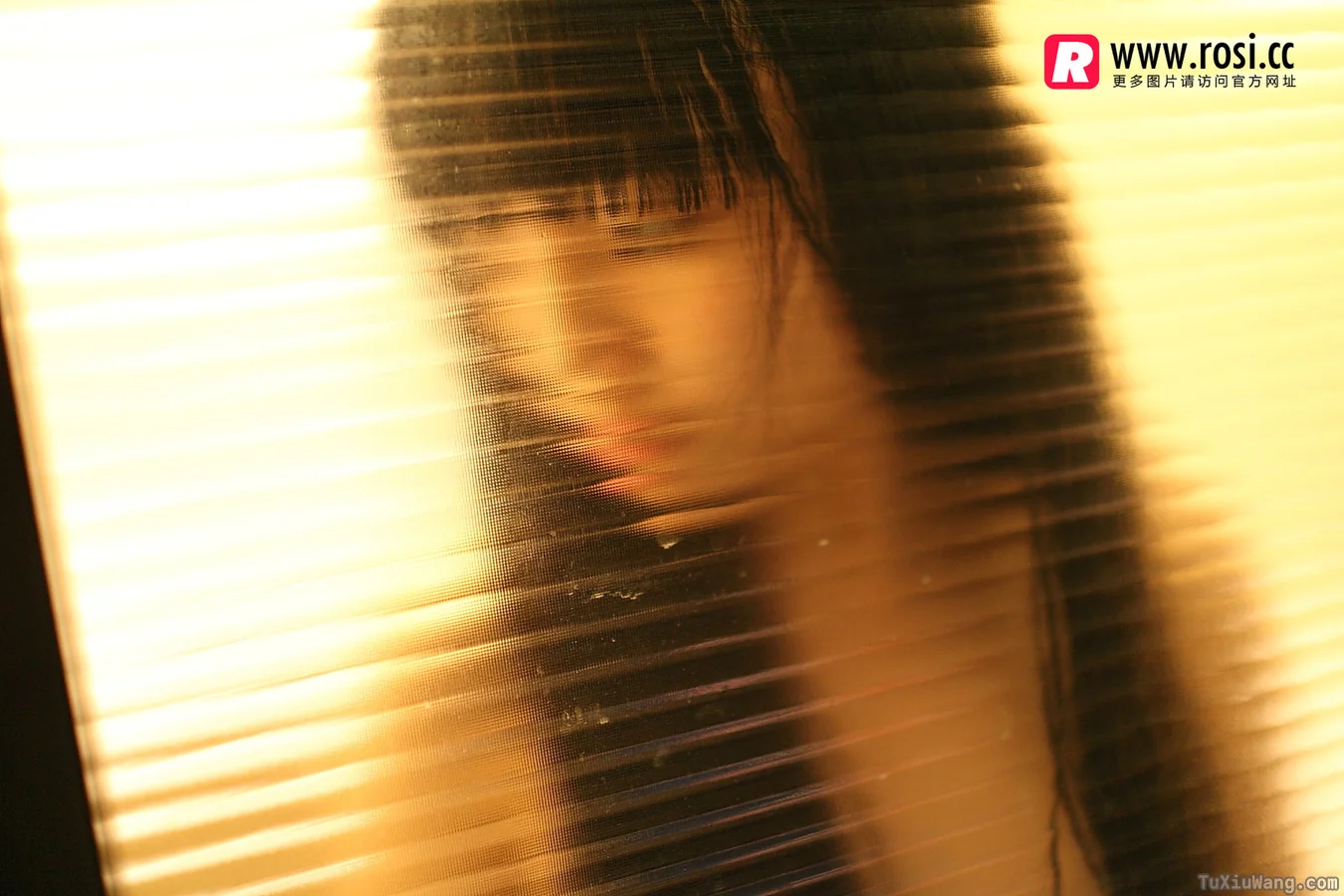 [ROSI写真] 2015.12.15 No.1468