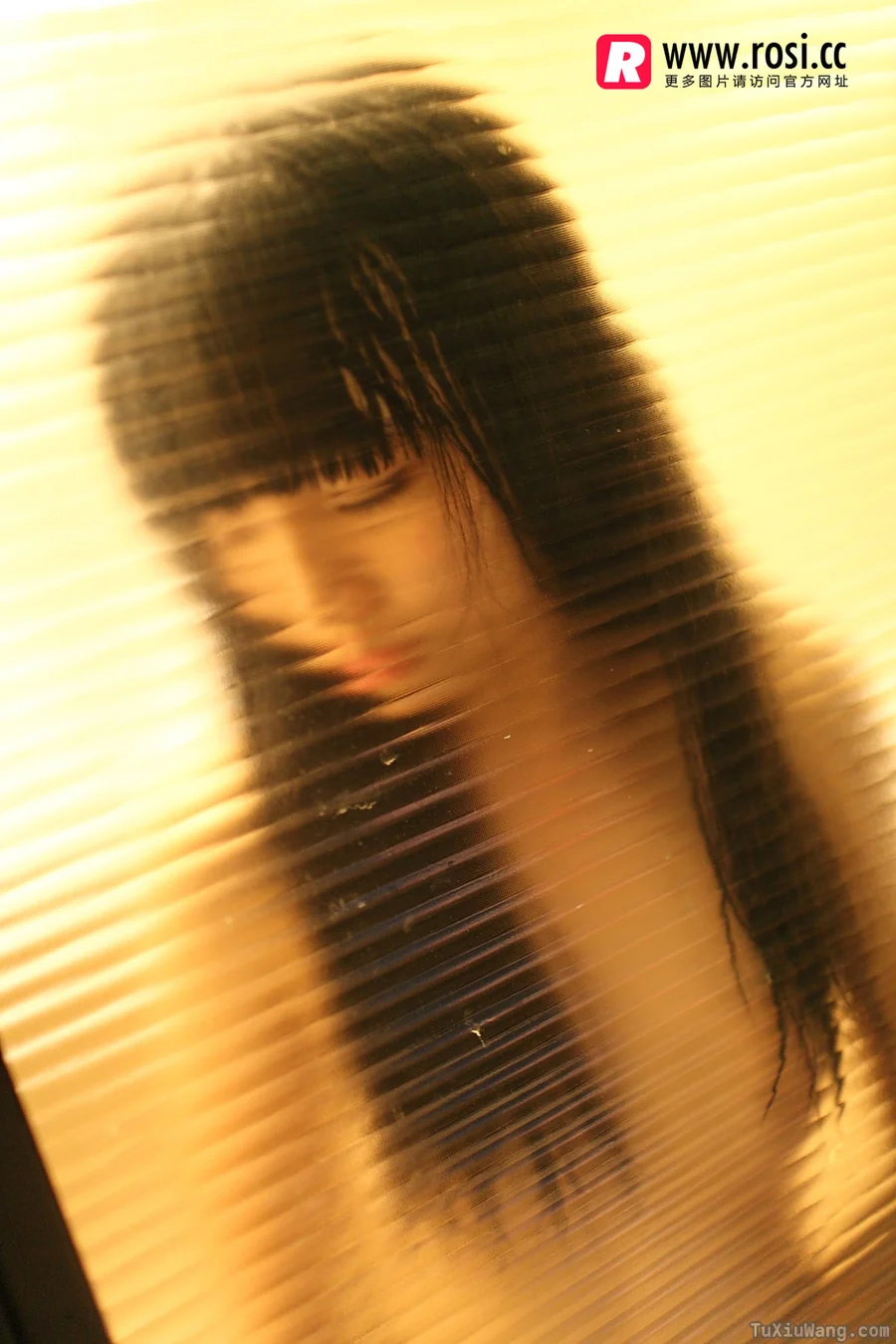 [ROSI写真] 2015.12.15 No.1468