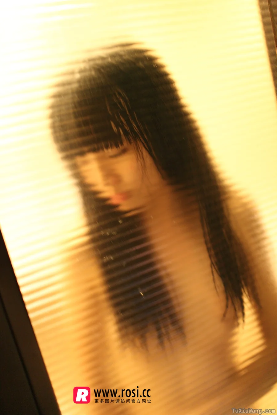[ROSI写真] 2015.12.15 No.1468