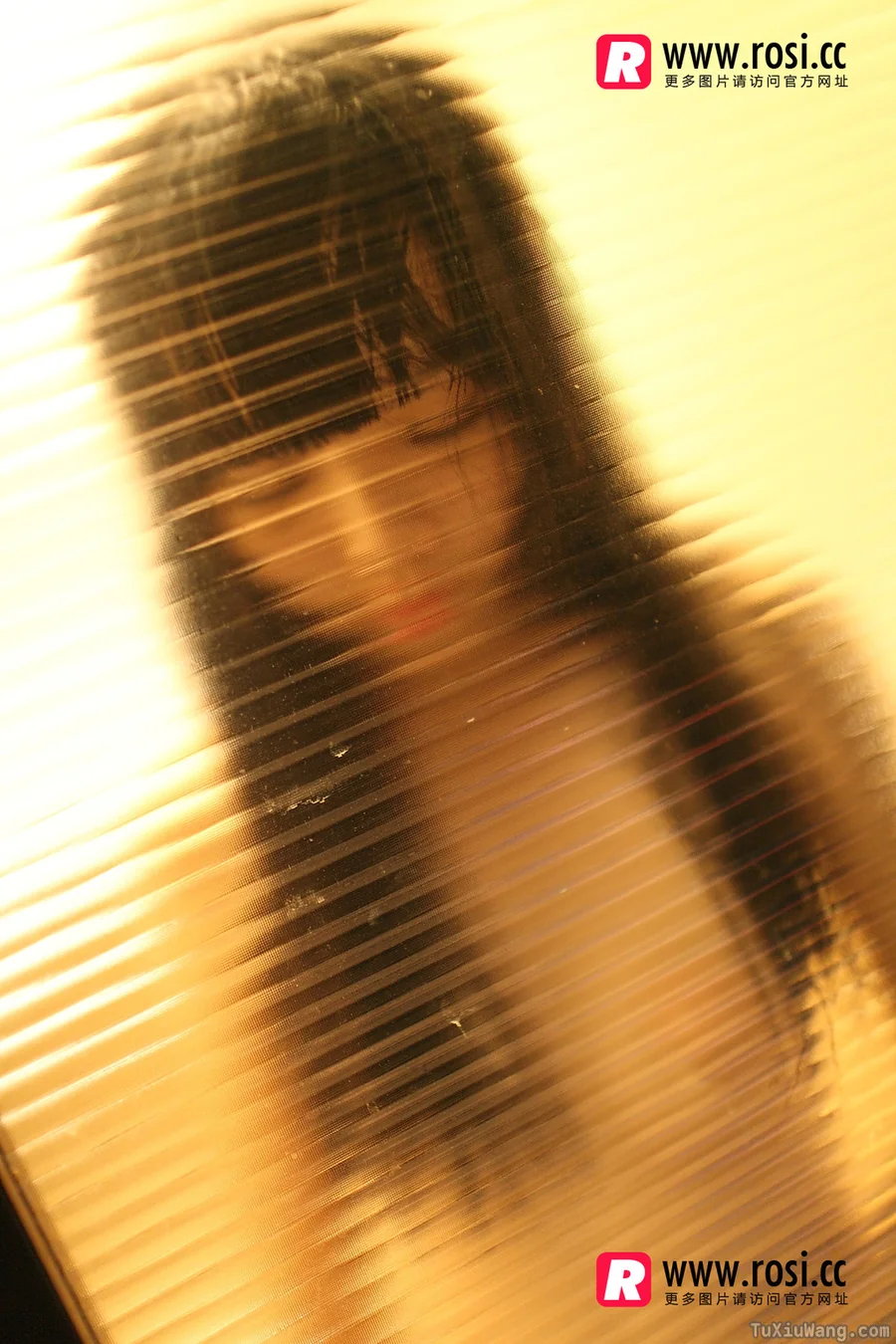 [ROSI写真] 2015.12.15 No.1468