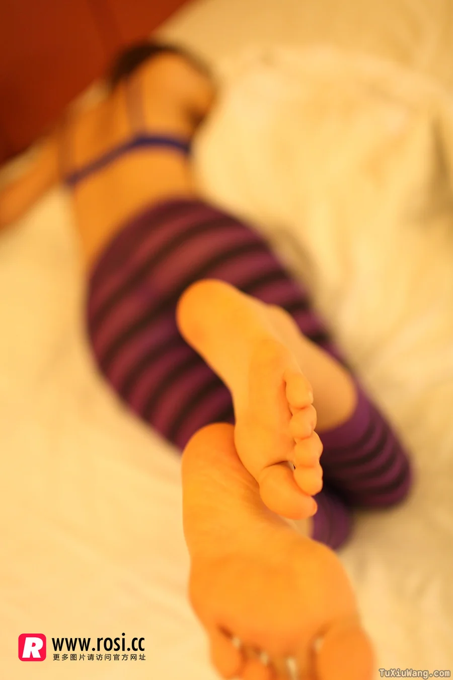 [ROSI写真] 2015.12.20 No.1473