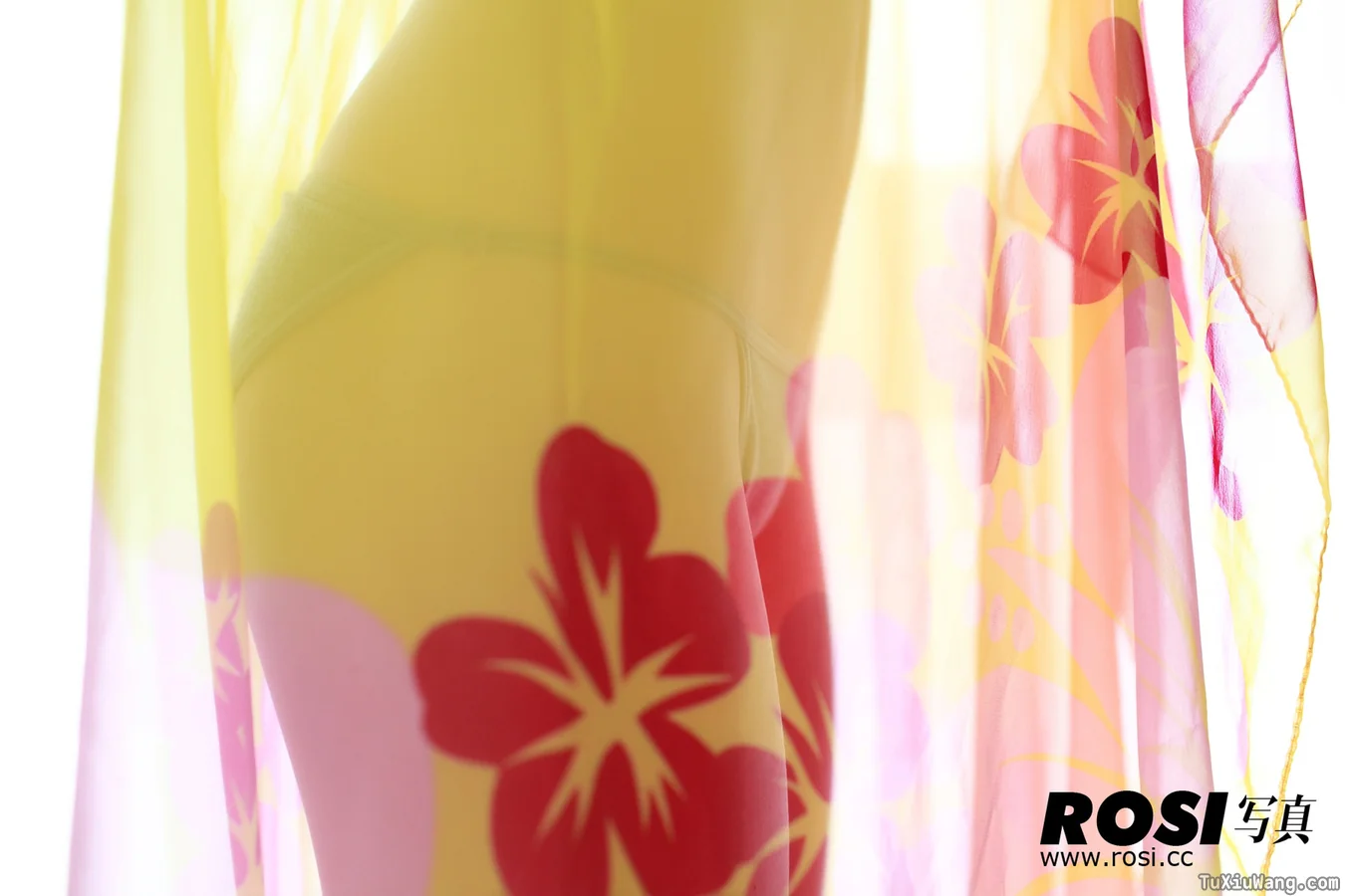 [ROSI写真] 2011.05.22 No.15