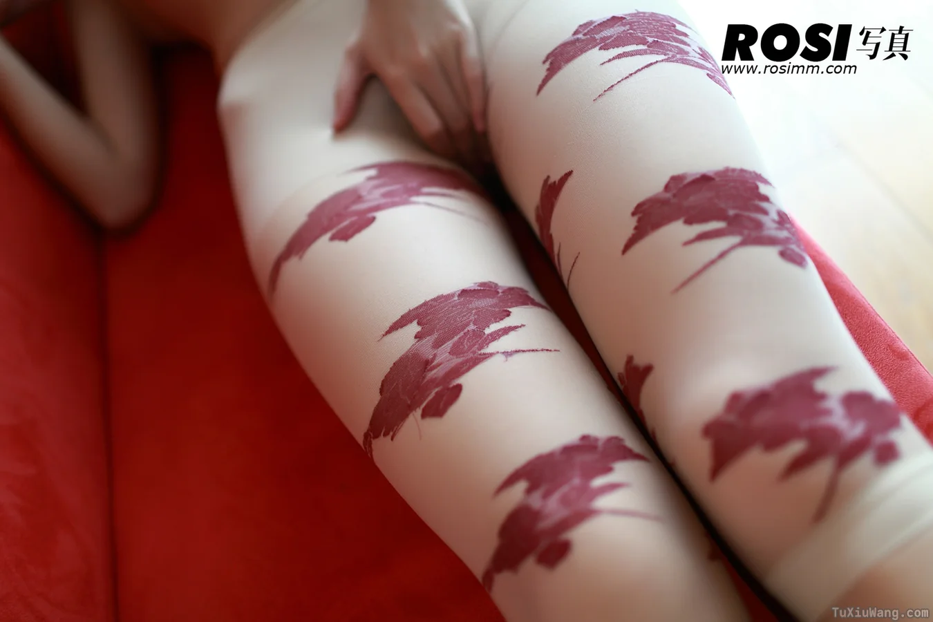 [ROSI写真] 2011.12.16 No.175