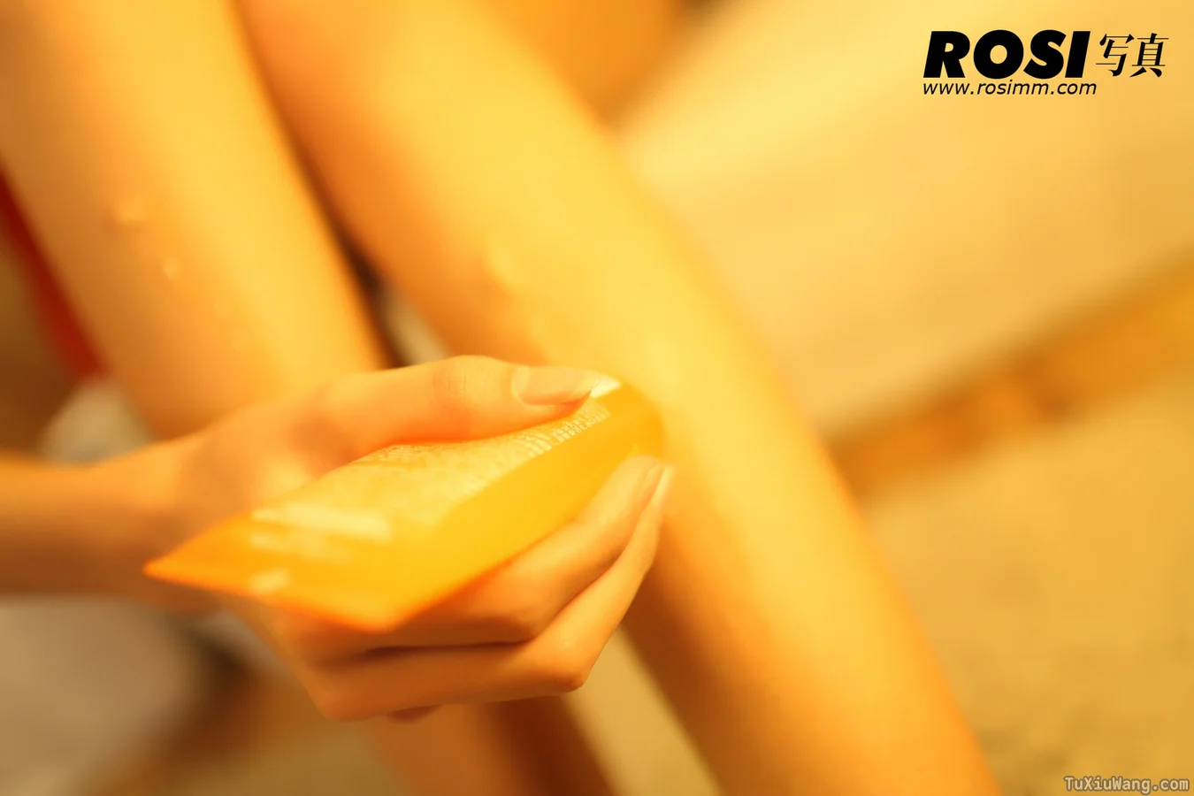 [ROSI写真] 2012.02.09 No.212