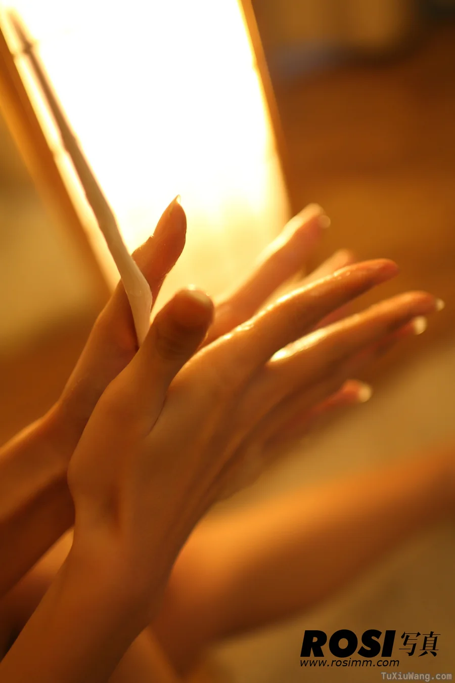 [ROSI写真] 2012.02.09 No.212