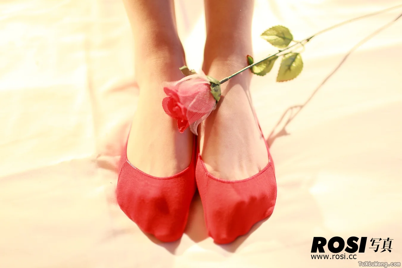 [ROSI写真] 2011.06.04 No.28