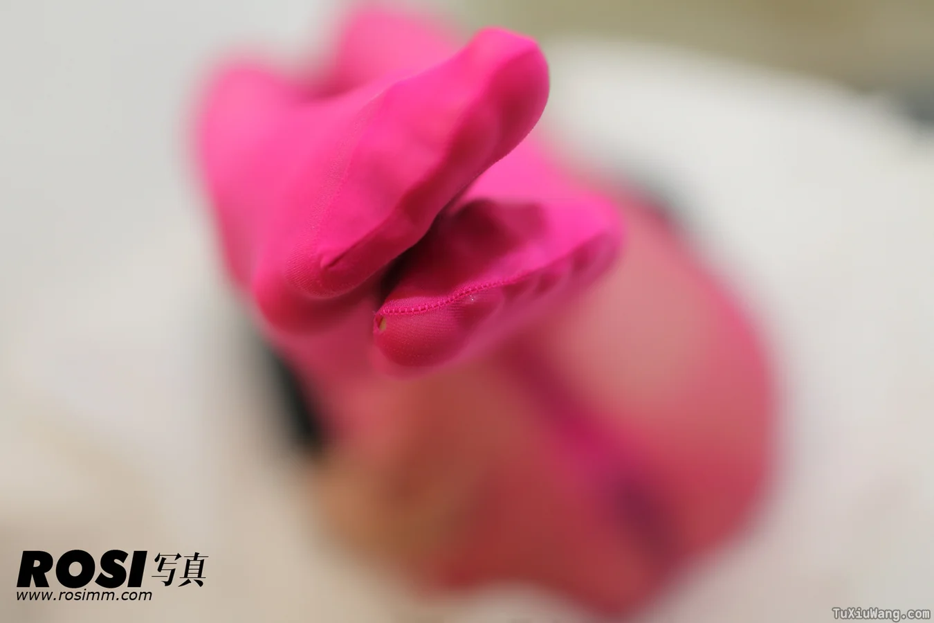 [ROSI写真] 2012.10.16 No.375