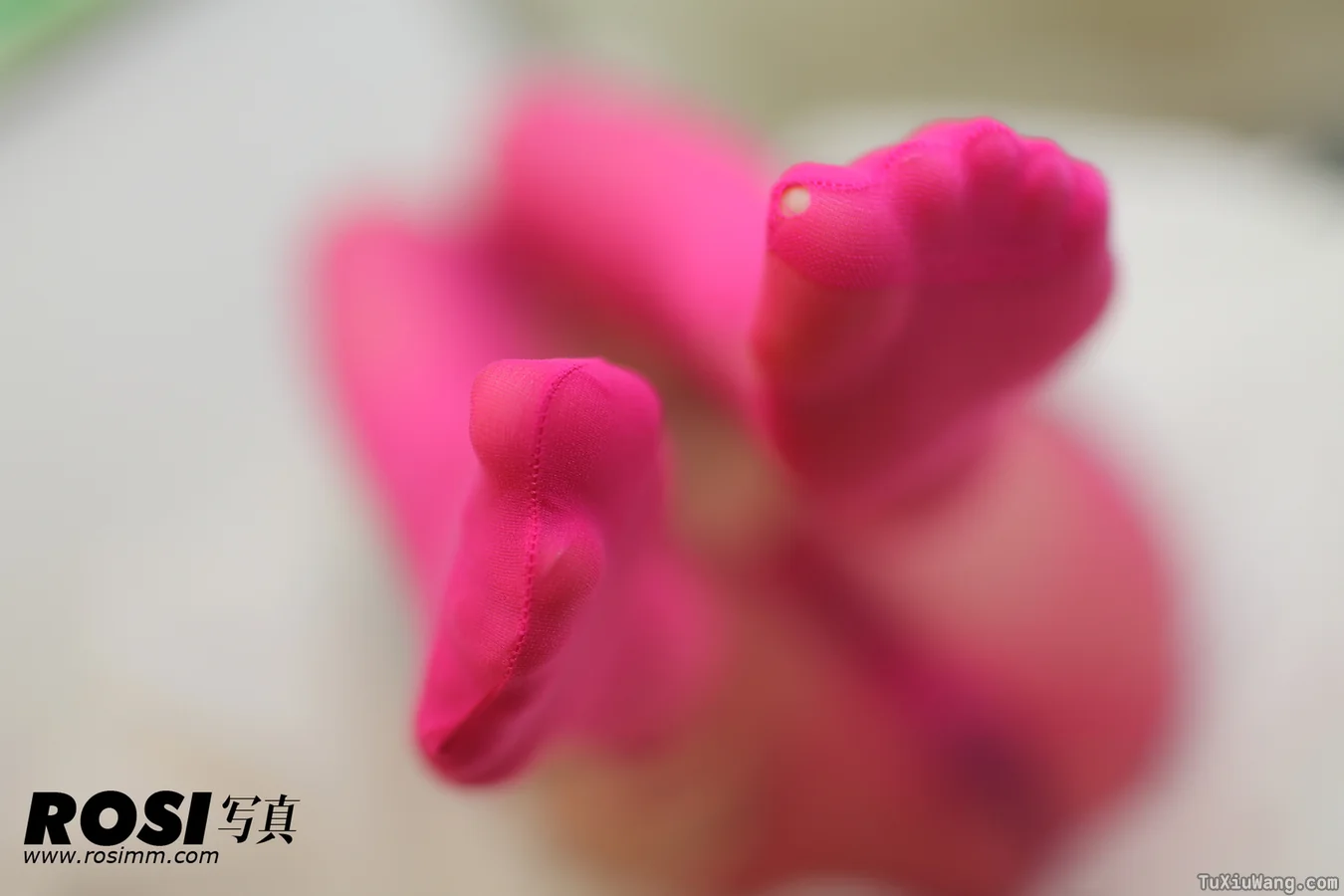 [ROSI写真] 2012.10.16 No.375