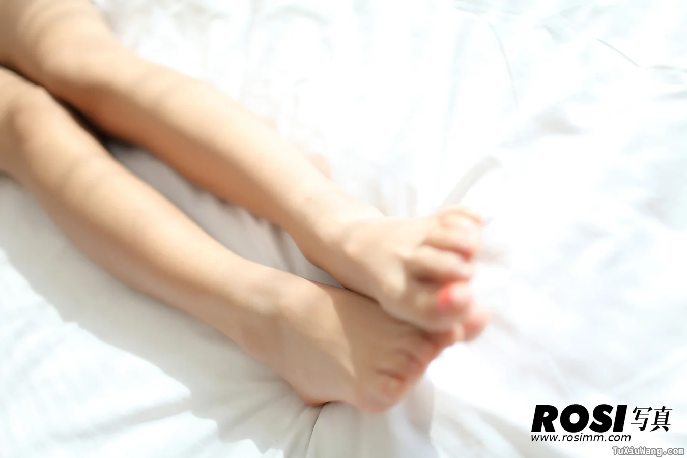 [ROSI写真] 2012.11.06 No.393