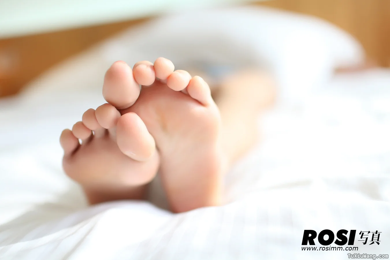 [ROSI写真] 2012.11.06 No.393