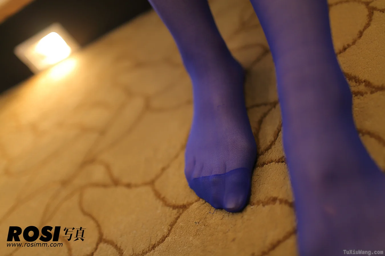 [ROSI写真] 2012.12.29 No.442