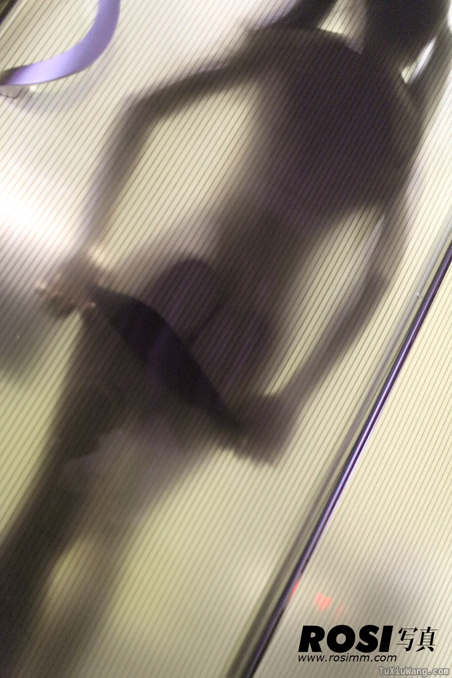 [ROSI写真] 2013.01.02 No.445