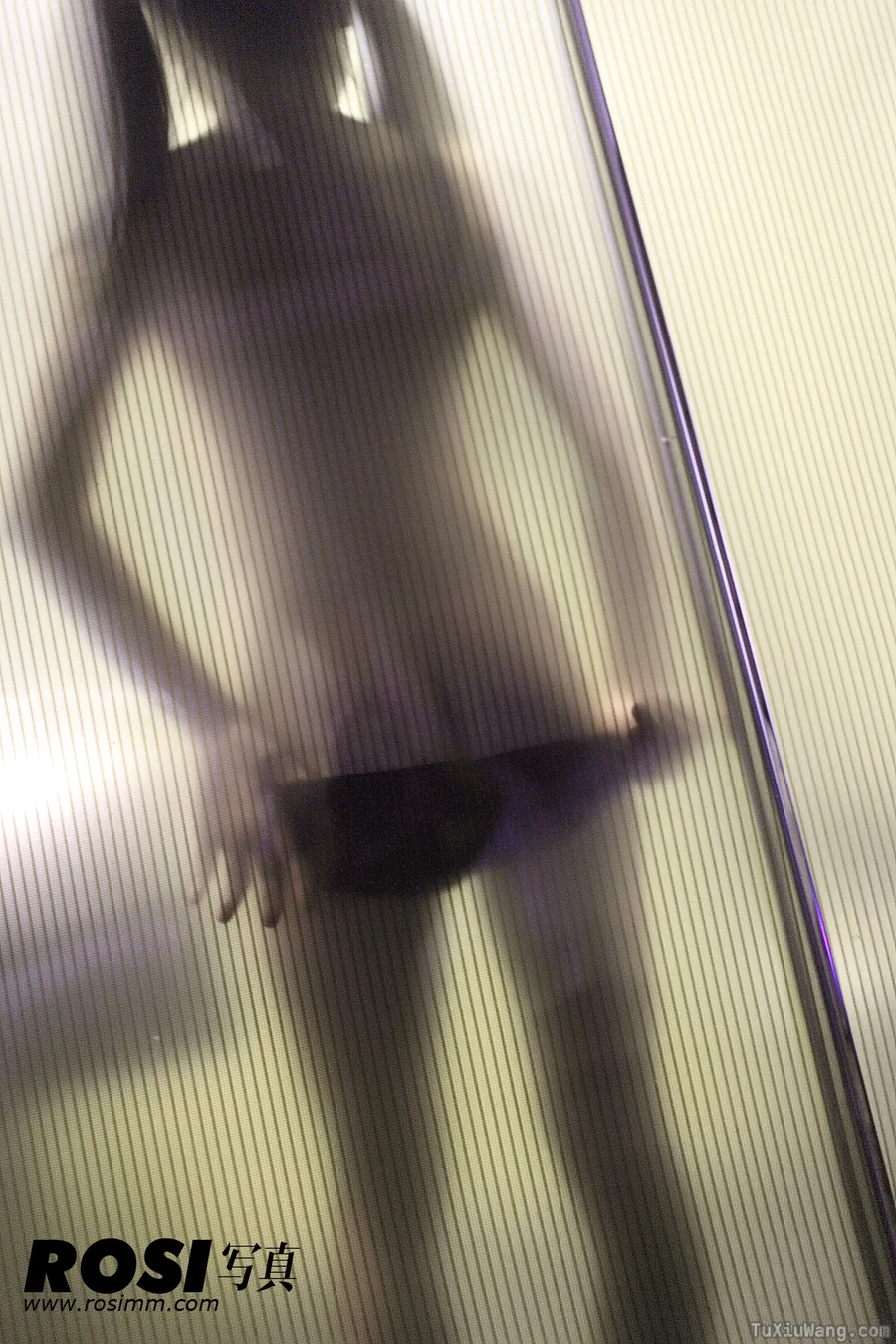 [ROSI写真] 2013.01.02 No.445