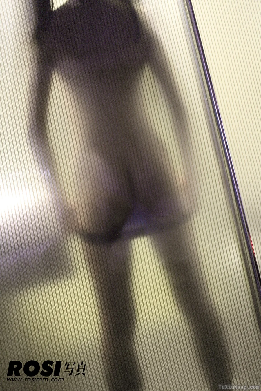[ROSI写真] 2013.01.02 No.445