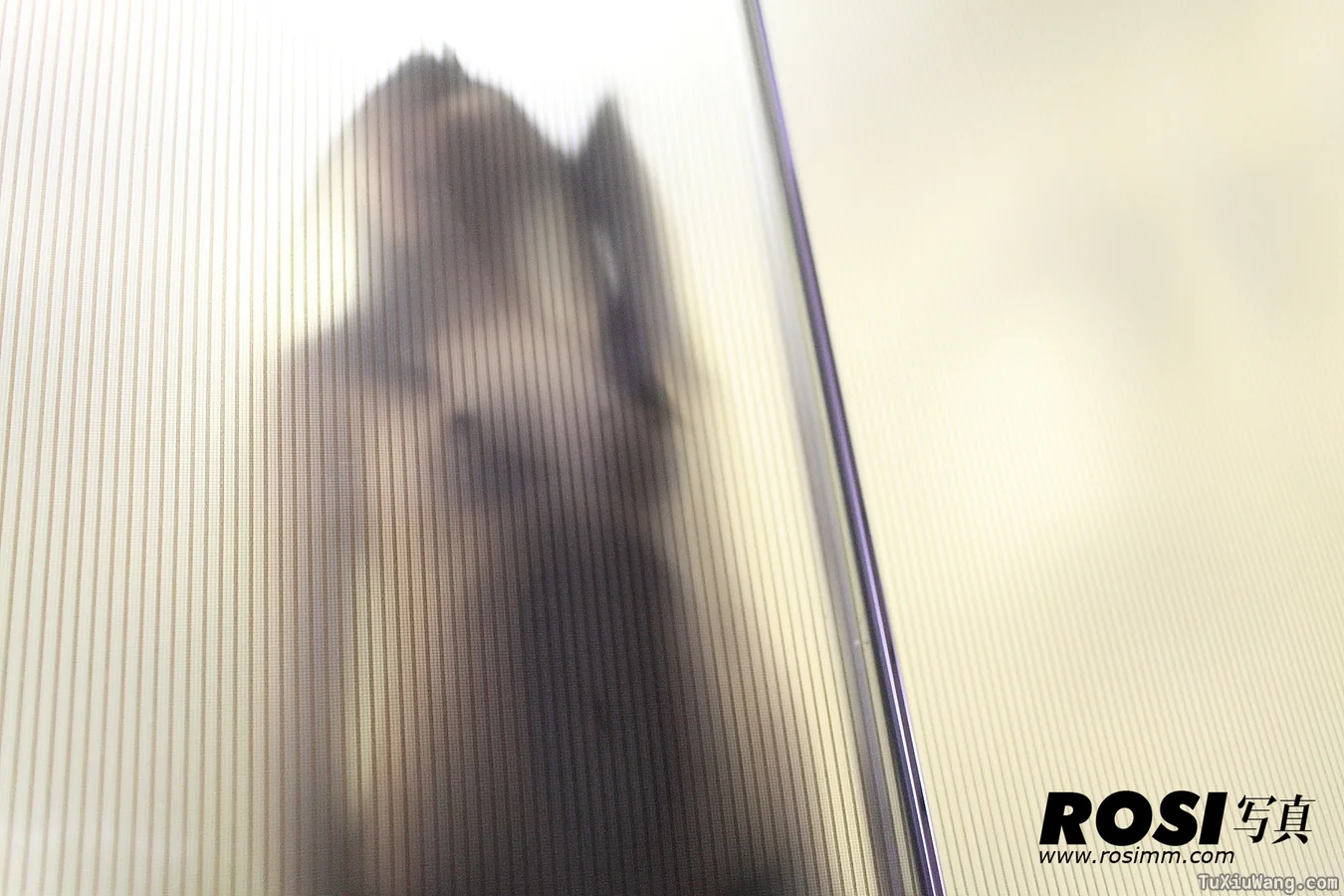 [ROSI写真] 2013.01.02 No.445