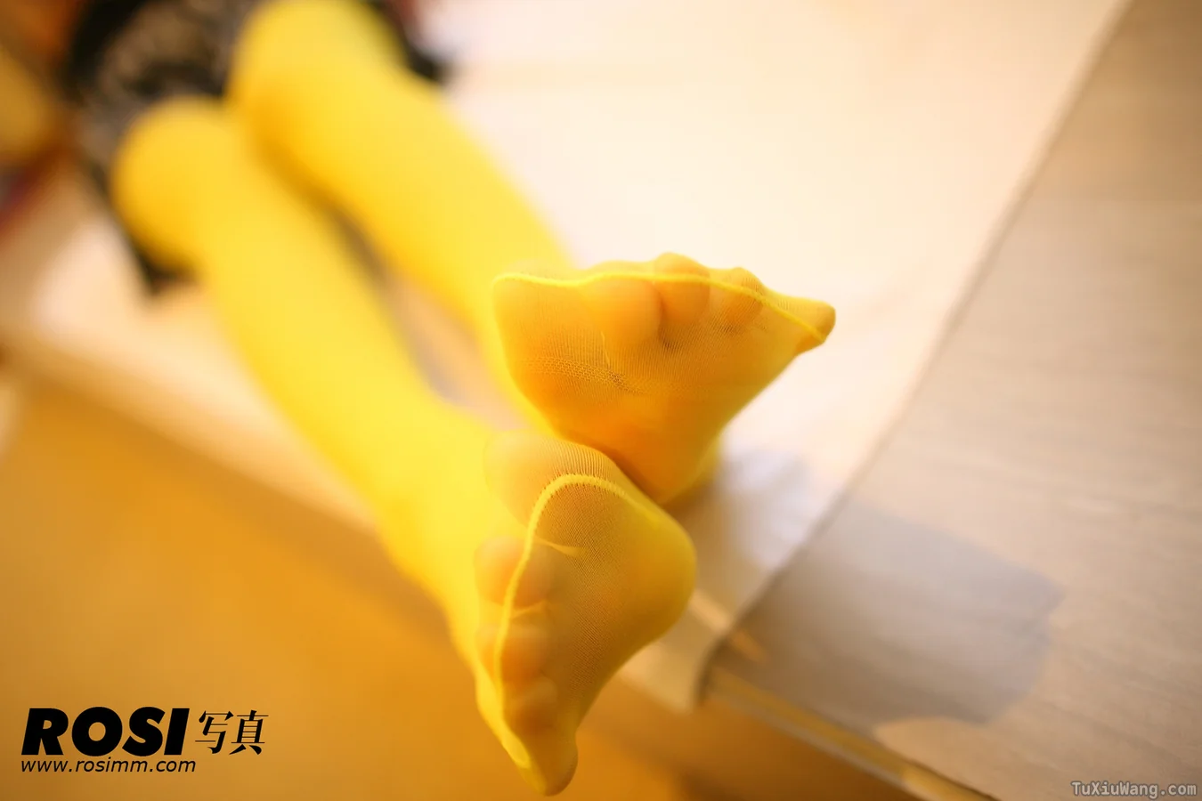 [ROSI写真] 2013.02.10 No.469