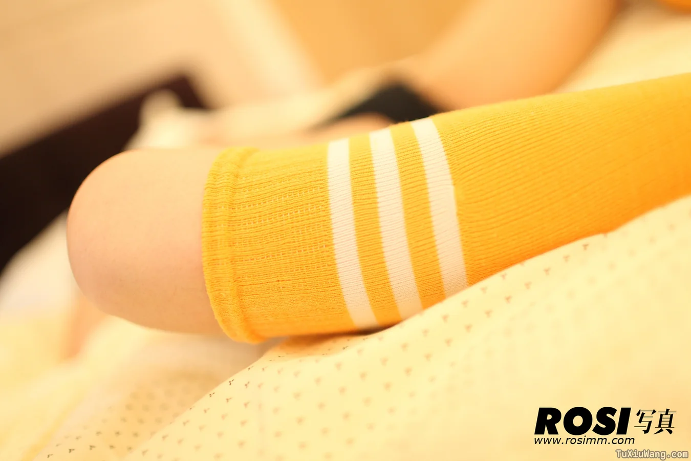 [ROSI写真] 2013.11.17 No.713