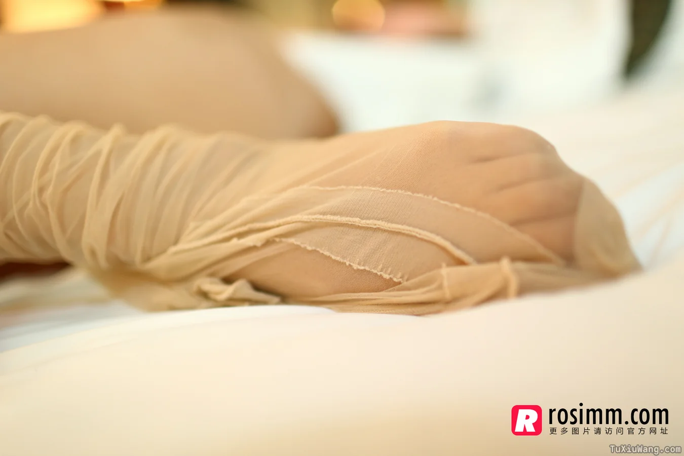 [ROSI写真] 2013.12.03 No.729