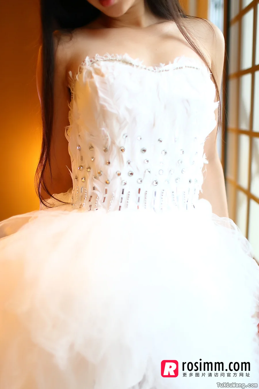 [ROSI写真] 2013.12.12 No.738