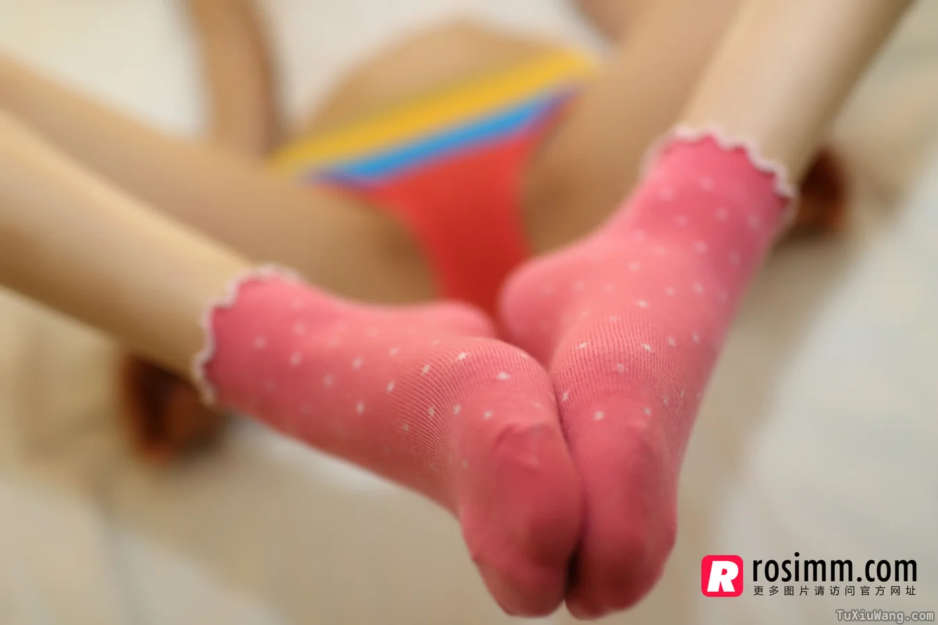 [ROSI写真] 2014.02.22 No.809