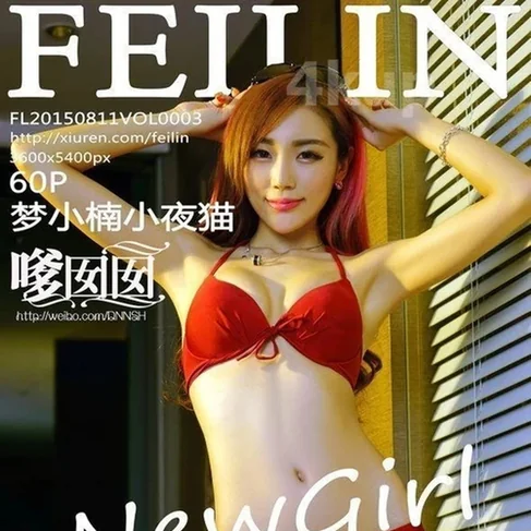 [FEILIN嗲囡囡] 2015.08.11 No.3 梦小楠小夜猫
