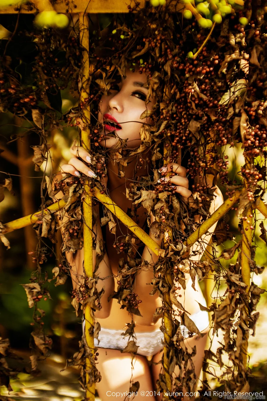 [XIUREN秀人网] 2014.10.22 No.226 刘薇拉